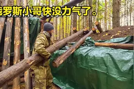 俄罗斯小哥野外挖坑建的房屋，他是要防什么东西，荒野搭建这房子视频封面