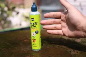 懒人养花用什么施肥？园艺师教你，用免稀释营养液，什么花都通用视频封面
