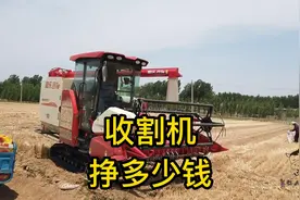 小麦收割机这一季能挣多少钱？听听种粮大户怎么说的，利润很好视频封面