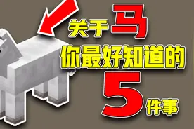我的世界：关于马你不知道的5件事，以后一定要好好对待它哦！