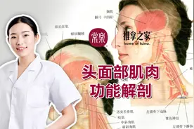 头面部肌肉功能解剖