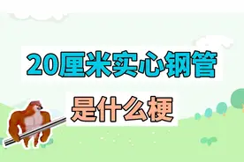 20厘米实心钢管是什么梗？视频封面