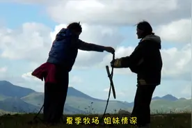 青藏高原藏族牧民搬家到夏季牧场 姐妹俩承担了家里的全部劳作视频封面