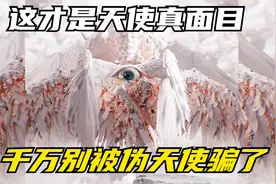 你以为天使是类人么!不你错了这才是天使的真正面容视频封面