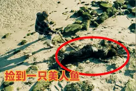 渔民出海打渔，在沙滩上发现了一个奇怪物体，靠近发现是美人鱼视频封面
