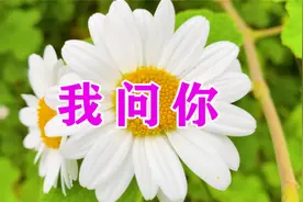 一首伤感情歌《我问你》，我爱你爱的死心塌地，你却要离开！视频封面
