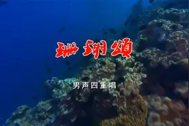 男声四重唱《珊瑚颂》，百听不厌！视频封面