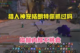 怀旧服猎人最好的宠物之一格朗特 很多人没见过