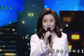 云菲菲-《人在旅途》DJ舞曲版，动感节奏，回味影视金曲！视频封面
