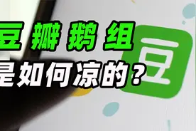 豆瓣鹅组惨遭停用，饭圈乱象绝不姑息【科技狐】视频封面