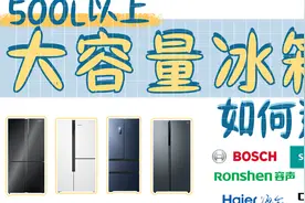 500L以上大容量冰箱有哪些不错的推荐？视频封面