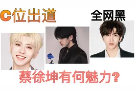 C位出道的蔡徐坤，历经多次全网黑，为何粉丝还是对他死心塌地？