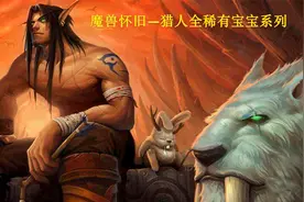 魔兽怀旧—猎人全稀有宝宝系列之“跳跃者”塔克 贫瘠之地 59,08