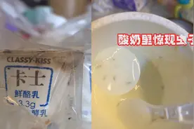 卡士酸奶喝出虫子吓坏消费者：那是给我家小孩喝的视频封面