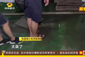 地下车库污水横流，臭味熏天难以下脚！居民搭木板走往电梯视频封面