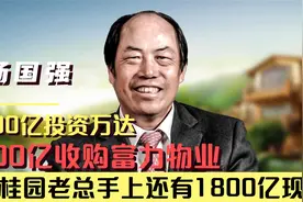 碧桂园百亿接盘富力物业，债留国内钱出海外，拿钱借钱区别是什么视频封面