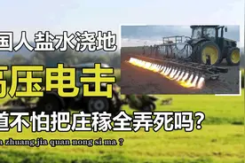 美国人为什么用盐水浇地，不怕把庄稼弄死吗？我国会这么做吗视频封面