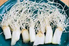 葱根不要扔，用开水泡一泡，原来作用这么厉害，长见识了