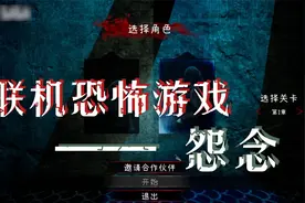 恐怖双人联机游戏《怨念Malice》通关视频（天心&战季）视频封面