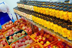 河南大叔水蜜桃滞销，开工厂加工罐头，年赚百万带领全村人致富视频封面