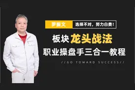 第002课#板块龙头战法@职业操盘手蜡烛图分时图成交量三合一教程