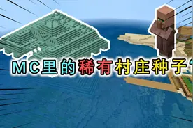 盘点5个超稀有的MC种子，海底神殿遍地都是，前哨站在村庄边上？