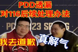 PDD透漏对116后续处理办法，听着真解气！视频封面