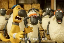 小羊竟是一个灌篮高手，连羊带球一起灌篮？视频封面
