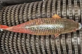 8种产品的制作过程，看完感觉很舒爽？