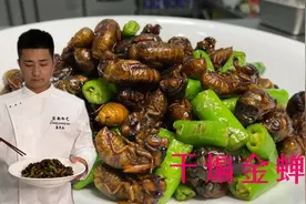 又到了吃金蝉的季节！1块钱1个活金蝉，大厨做法简单美味快来围观