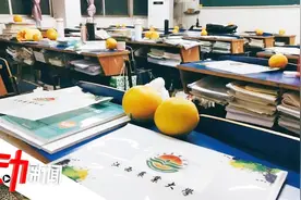 江西农大送考研学生脐橙：自研成果 寓意“脐”开得胜视频封面