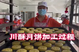 东北传统月饼，川酥皮月饼是如何加工的，苏子馅是重点视频封面
