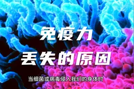 免疫力低下，容易生病？快看看你是不是有这几个坏习惯