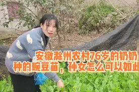 安徽滁州来安县农村，“豌豆苗”正当吃！2分钟都不要的快炒蔬菜视频封面