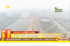 长沙马栏山文创园添生态屏障：新增河滩湿地22万平米视频封面