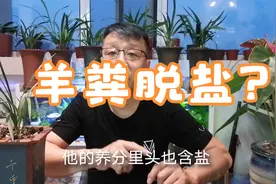 发酵好的羊粪是否要脱盐视频封面