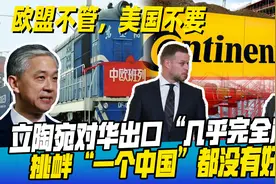 对华出口骤降95%！中国还未真正出手反击，立陶宛就已无还手之力视频封面