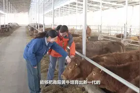 从50头牛到2800多头！南阳女大学生返乡养牛年产值5000多万视频封面