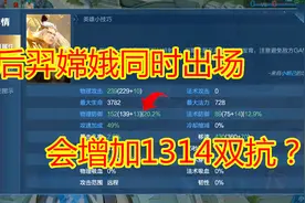 王者里那些不为人知的彩蛋，后羿嫦娥同时出场会增加1314护甲视频封面