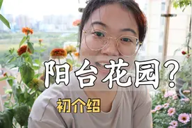 95后女孩用一年时间打造阳台花园，现在它成了这样...视频封面