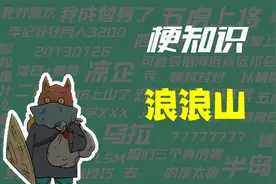 【梗知识】浪浪山是什么意思？