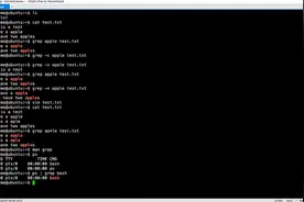 21：服务器开发需要用到的部分shell命令（第四部分）视频封面