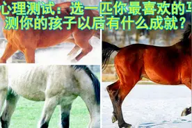 心理测试——选一匹你最喜欢的马？测你的孩子以后会有什么成就？视频封面