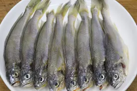 小黄鱼不要红烧了，教你秘制做法，鱼肉鲜嫩不腥，出锅汤汁都喝光