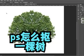 ps怎么把一棵树抠出来，ps抠图教程，ps通道抠图教程视频封面