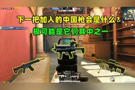 下一把加入吃鸡的中国枪会是什么？这三把枪可能性最大
