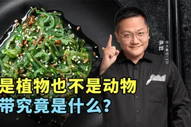 不是植物也不是动物，海带究竟是什么？视频封面