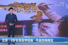 北京：8岁女孩自学绘画，作品惊艳网友视频封面