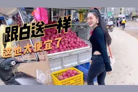 火龙果一块一斤惊呆河南妹子，水果这么便宜？广东的农村物价好低视频封面