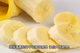 揭秘香蕉的种子究竟在哪里，让你大开眼界！@视频封面